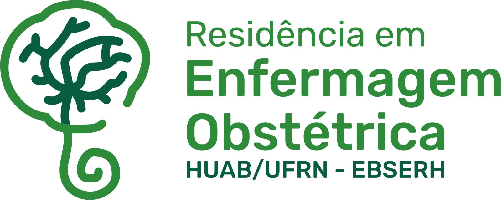 Conferência INAUGURAL DO PROGRAMA DE RESIDÊNCIA EM ENFERMAGEM OBSTÉTRICA DO HUAB